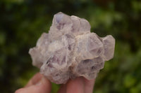 Natural Sugar Amethyst Clusters  x 4 From Solwezi, Zambia