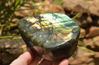 Polished Labradorite Standing Free Forms With Intense Blue & Gold Flash x 2 From Tulear, Madagascar - TopRock