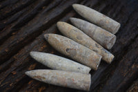 Natural Belemnite Fossil "Bullets" x 70 From Maintirano, Madagascar - TopRock