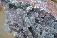 Natural Drusy Coated Ball Malachite On Dolomite Specimen  x 1 From Likasi, Congo