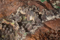 Natural Massive Drusy Coated Ball Malachite On Red Copper Dolomite Specimen x 1 From Likasi, Congo