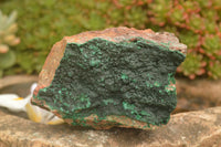 Natural Crystalline Botryoidal Malachite Specimens  x 4 From Tenke Fungurume, Congo - TopRock