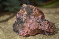 Natural Rough Red Rhodonite Specimens  x 12 From Zimbabwe