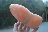 Polished Orange Twist Calcite Standing Free Form x 1 From Madagascar - Toprock Gemstones and Minerals 