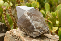 Polished  Smokey Quartz Crystal With Polished Termination x 1 From Malawi - TopRock