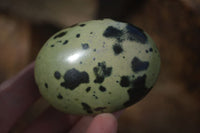 Polished Spotted Leopard Stone Gallets  x 12 From Zimbabwe - Toprock Gemstones and Minerals 