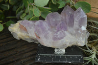 Natural Jacaranda Amethyst Clusters  x 3 From Mumbwa, Zambia - Toprock Gemstones and Minerals 