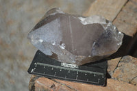 Natural Smokey Quartz Floater Crystal Formations  x 3 From Mulanje, Malawi - Toprock Gemstones and Minerals 