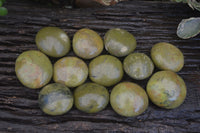 Polished Green Opal Palm Stones  x 12 From Antsirabe, Madagascar - Toprock Gemstones and Minerals 