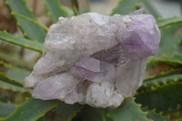 Natural Jacaranda Amethyst Crystal Clusters  x 4 From Zambia - TopRock