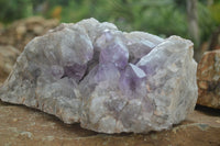 Natural Large Jacaranda Amethyst Vug Specimen  x 1 From Mumbwa, Zambia - TopRock