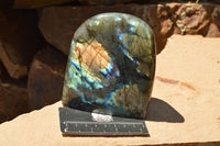 Polished Labradorite Standing Free Forms With Intense Blue & Gold Flash x 2 From Sakoany, Madagascar - TopRock