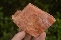 Natural New Sunset Orange Calcite Specimens  x 4 From Spitzkop, Namibia