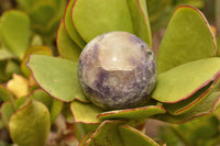 Polished Purple Lepidolite Mica Spheres  x 6 From Madagascar - TopRock