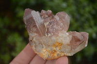 Natural Red Hematoid Quartz Specimens x 12 From Karoi, Zimbabwe - TopRock