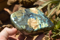 Polished Labradorite Standing Free Forms With Intense Blue & Gold Flash x 2 From Sakoany, Madagascar - TopRock