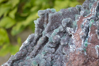 Natural Drusy Coated Ball Malachite On Dolomite Specimen  x 1 From Likasi, Congo