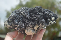 Natural Black Tourmaline Specimen x 1 From Erongo Mountains, Namibia - TopRock