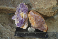 Natural Amethyst Crystal Plates x 12 From Mapatizya, Zambia