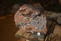 Natural Massive Drusy Coated Ball Malachite On Red Copper Dolomite Specimen x 1 From Likasi, Congo