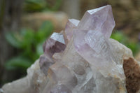 Natural Jacaranda Amethyst Cluster x 1 From Mumbwa, Zambia - TopRock