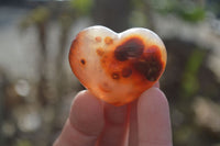 Polished Carnelian Agate Hearts  x 12 From Madagascar