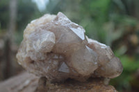 Natural Cascading Smokey White Phantom Quartz Clusters  x 2 From Luena, Congo - Toprock Gemstones and Minerals 