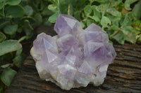 Natural Jacaranda Amethyst Clusters x 2 From Mumbwa, Zambia - TopRock