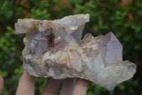 Natural Jacaranda Amethyst Clusters  x 2 From Mumbwa, Zambia - Toprock Gemstones and Minerals 