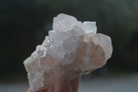 Natural White Cactus Spirit Quartz Crystals  x 3.6 Kg Lot From Boekenhouthoek, South Africa - Toprock Gemstones and Minerals 