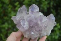 Natural Jacaranda Amethyst Clusters  x 3 From Mumbwa, Zambia - Toprock Gemstones and Minerals 