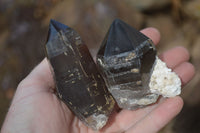 Natural Smokey Quartz Crystals x 4 From Malawi