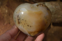 Polished Lovely Selection Of Agate Hearts x 6 From Madagascar