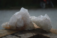 Natural White Cactus Spirit Quartz Crystals  x 3.6 Kg Lot From Boekenhouthoek, South Africa - Toprock Gemstones and Minerals 