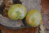 Polished Green Opal Palm Stones  x 12 From Antsirabe, Madagascar - Toprock Gemstones and Minerals 