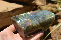 Polished Labradorite Standing Free Forms With Intense Blue & Gold Flash x 2 From Sakoany, Madagascar - TopRock