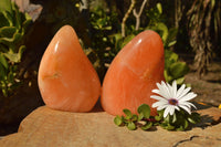 Polished Vibrant Bright Orange Twist Calcite Standing Free Forms  x 2 From Maevantanana, Madagascar - TopRock