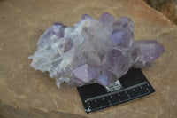 Natural Jacaranda Amethyst Clusters  x 2 From Mumbwa, Zambia - Toprock Gemstones and Minerals 