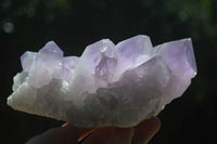 Natural Jacaranda Amethyst Clusters  x 2 From Mumbwa, Zambia - Toprock Gemstones and Minerals 