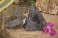 Natural Groovy Self Healed Smokey Quartz Cluster & Large Crystal  x 2 From Malawi - TopRock