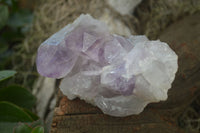 Natural Jacaranda Amethyst Clusters  x 3 From Mumbwa, Zambia - Toprock Gemstones and Minerals 