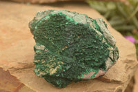 Natural Crystalline Botryoidal Malachite Specimens  x 4 From Tenke Fungurume, Congo - TopRock