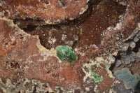 Natural Massive Drusy Coated Ball Malachite On Red Copper Dolomite Specimen x 1 From Likasi, Congo