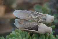 Natural Drusy Quartz Coated Calcite Crystals  x 20 From Alberts Mountain, Lesotho - Toprock Gemstones and Minerals 