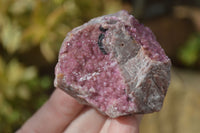 Natural Pink Salrose Cobaltion Dolomite Specimens  x 6 From Kakanda, Congo