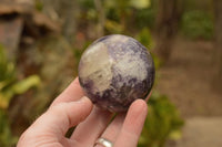 Polished Purple Lepidolite Mica Spheres  x 6 From Madagascar - TopRock