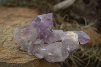 Natural Amethyst Crystal Clusters  x 3 From Zambia - TopRock