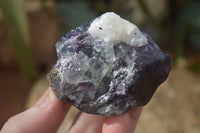 Natural Rough Watermelon Fluorite Cobbed Specimens x 12 From Uis, Namibia