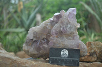 Natural Jacaranda Amethyst Cluster x 1 From Mumbwa, Zambia - TopRock