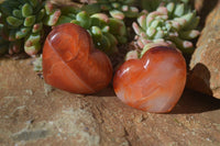 Polished Carnelian Agate Hearts  x 12 From Madagascar